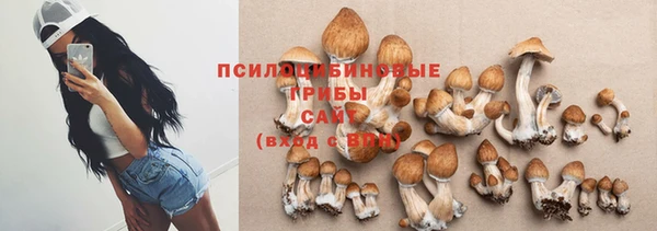 дурь Алексеевка