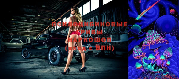 дурь Алексеевка