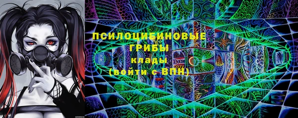 прущая мука Алзамай
