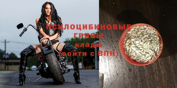 дурь Алексеевка