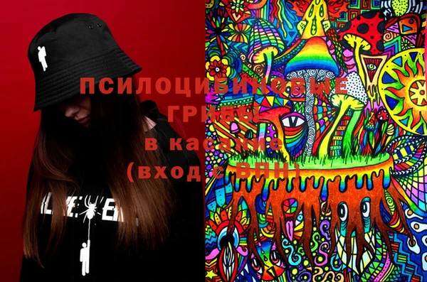 прущая мука Алзамай