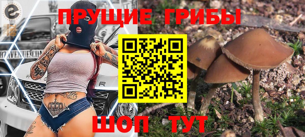 Галлюциногенные грибы Psilocybine cubensis  Галлюциногенные грибы ЛСД  Вход с VPN  Большой Камень 