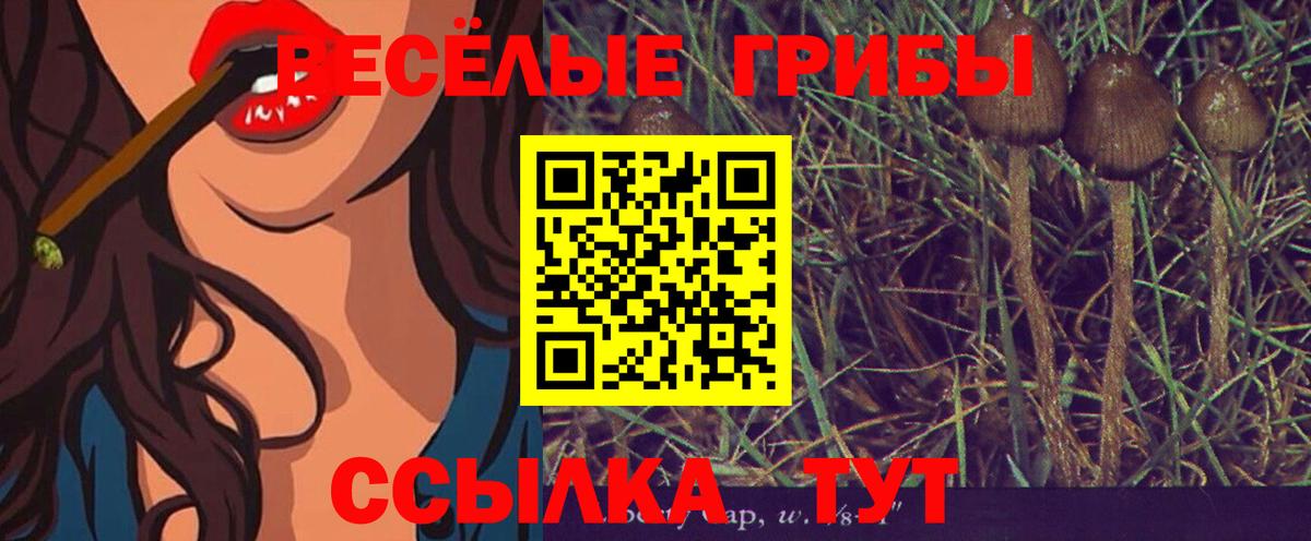 Каннабис  ГАШ  Купить закладку  Большой Камень  МЕФ   Вход с VPN 